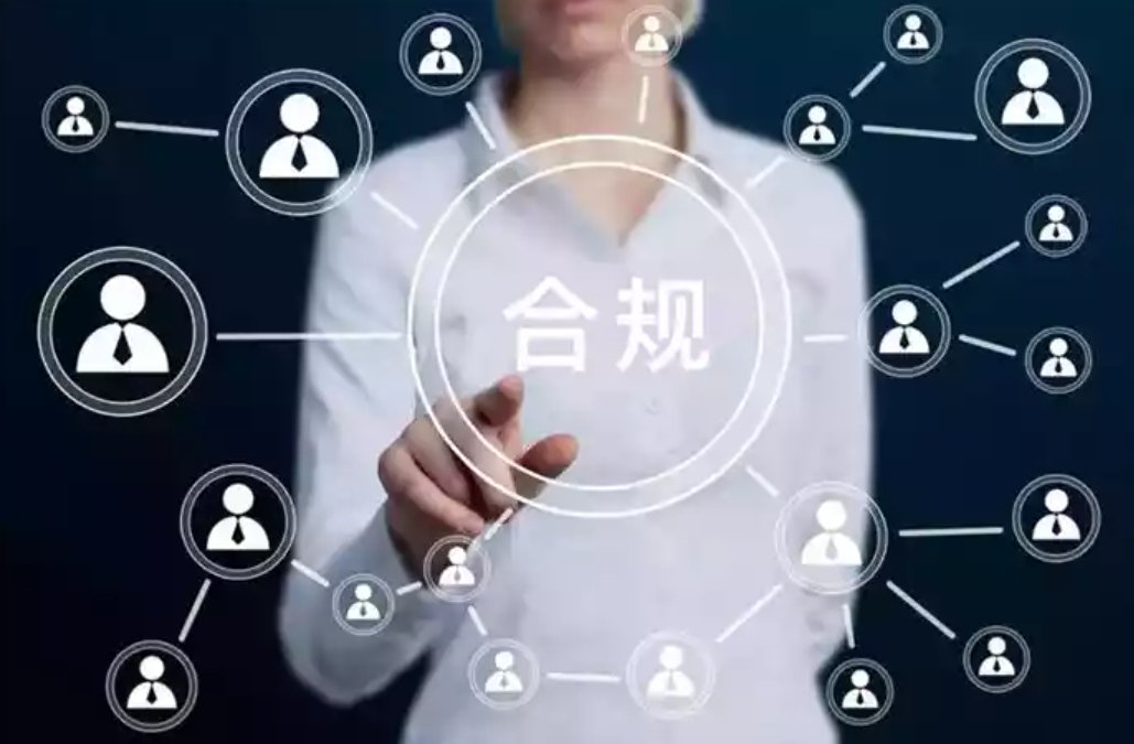 一位投资者在电脑前比对两家公司服务条款和费率说明的场景